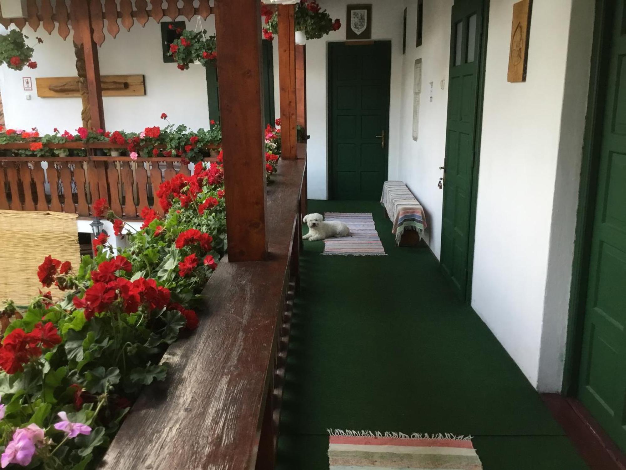 Góbé Csárda Hotel Nagyvárad Kültér fotó